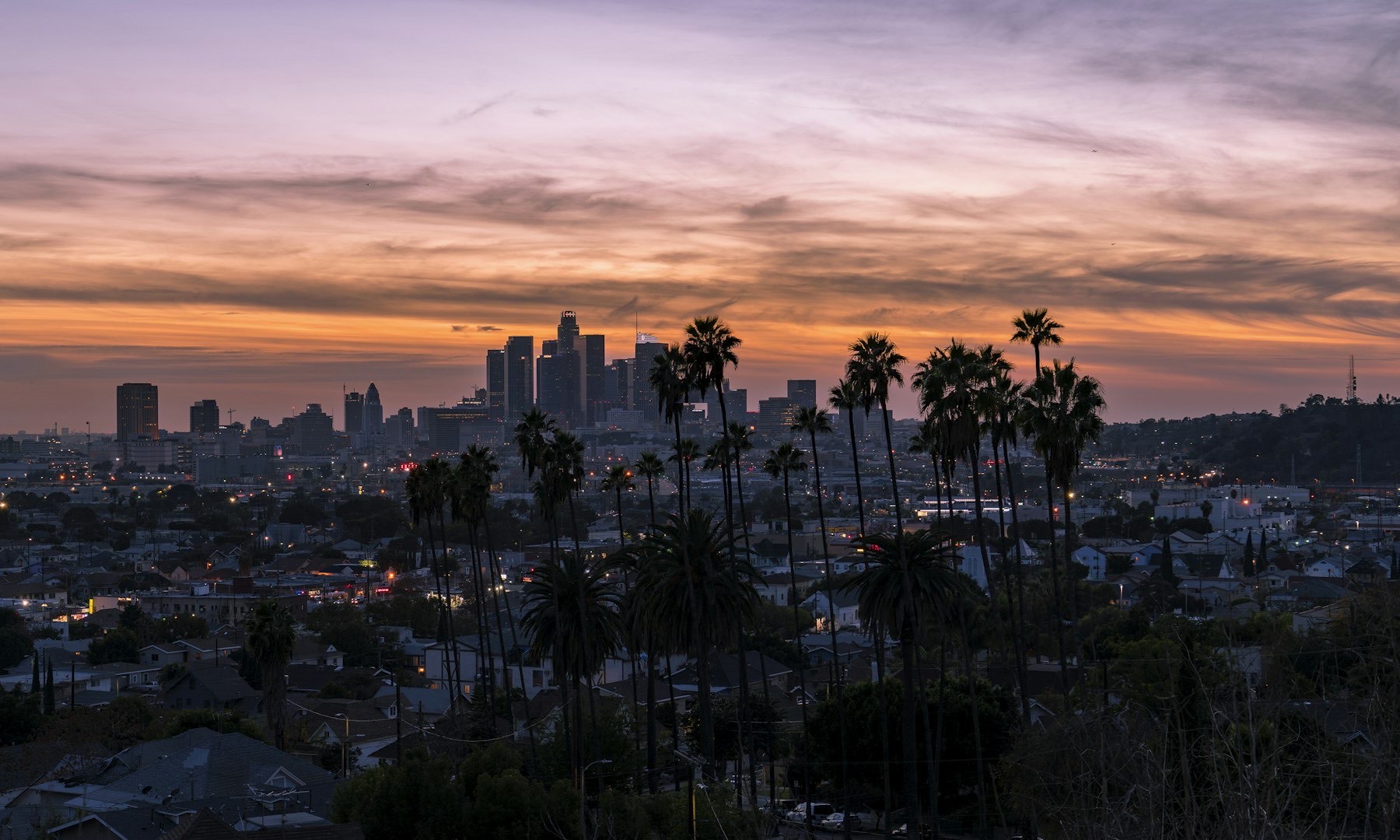 Los Angeles skyline at sunset, framed by palm trees